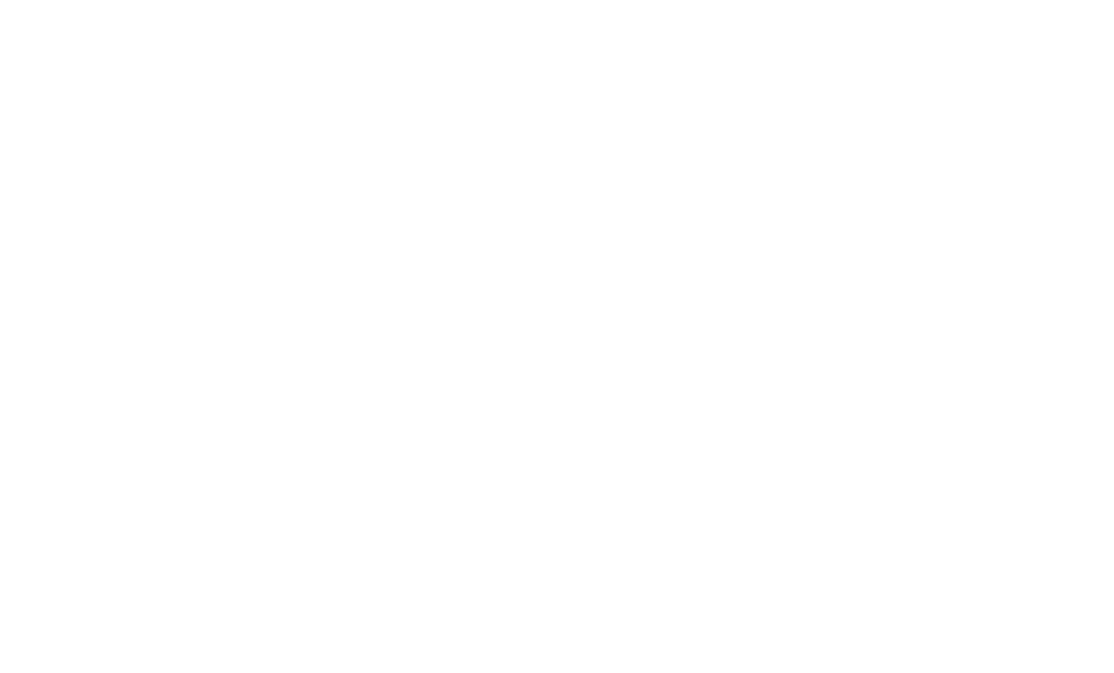 Virasat - the Festival of India